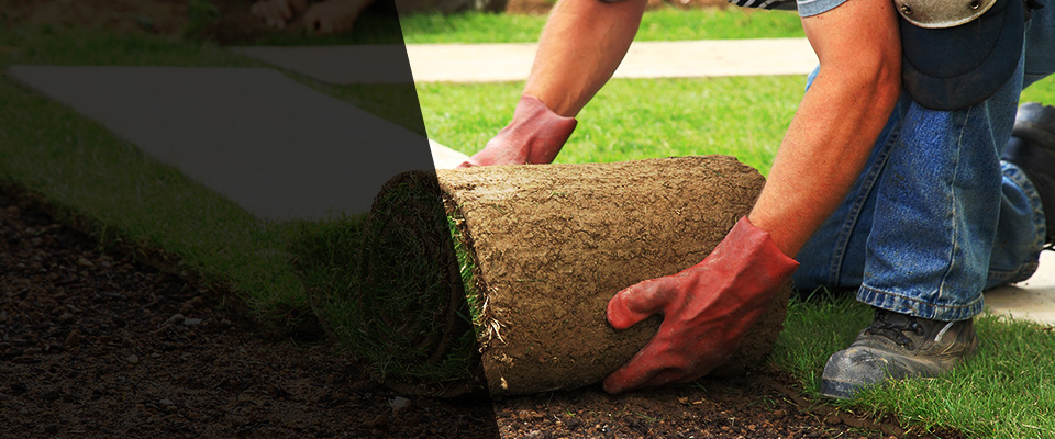 Jim Thorpe Landscapers